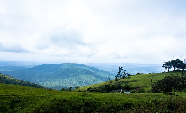 为训练基地 为训练基地
