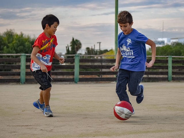 也为后辈球 也为后辈球