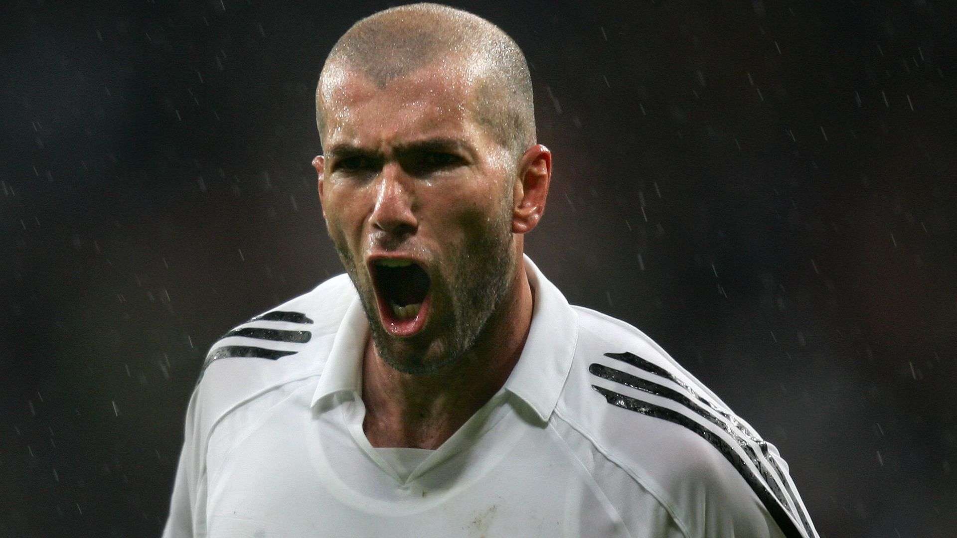 紮哈的选择 紮哈的选择