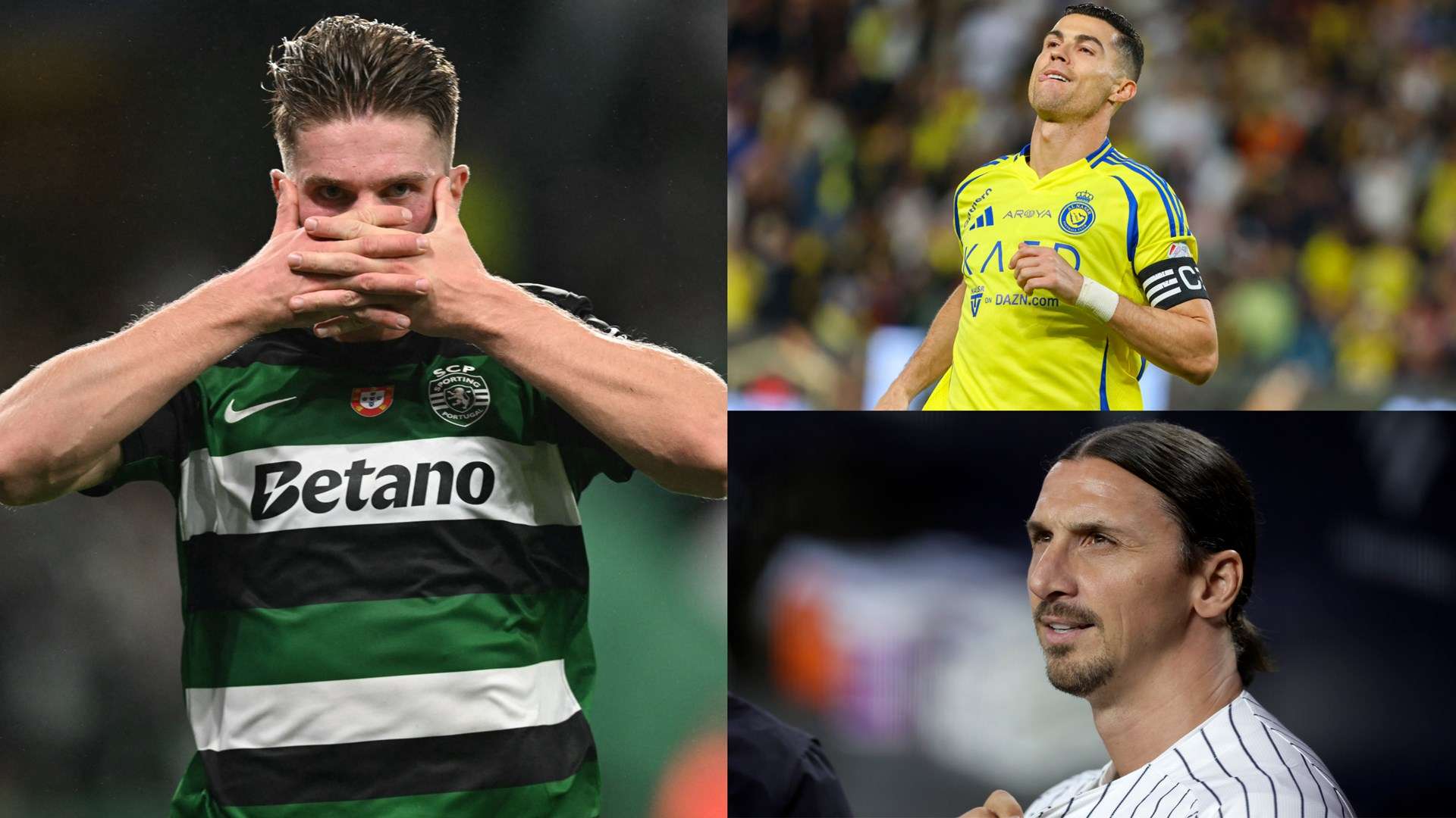 的职业选择 的职业选择