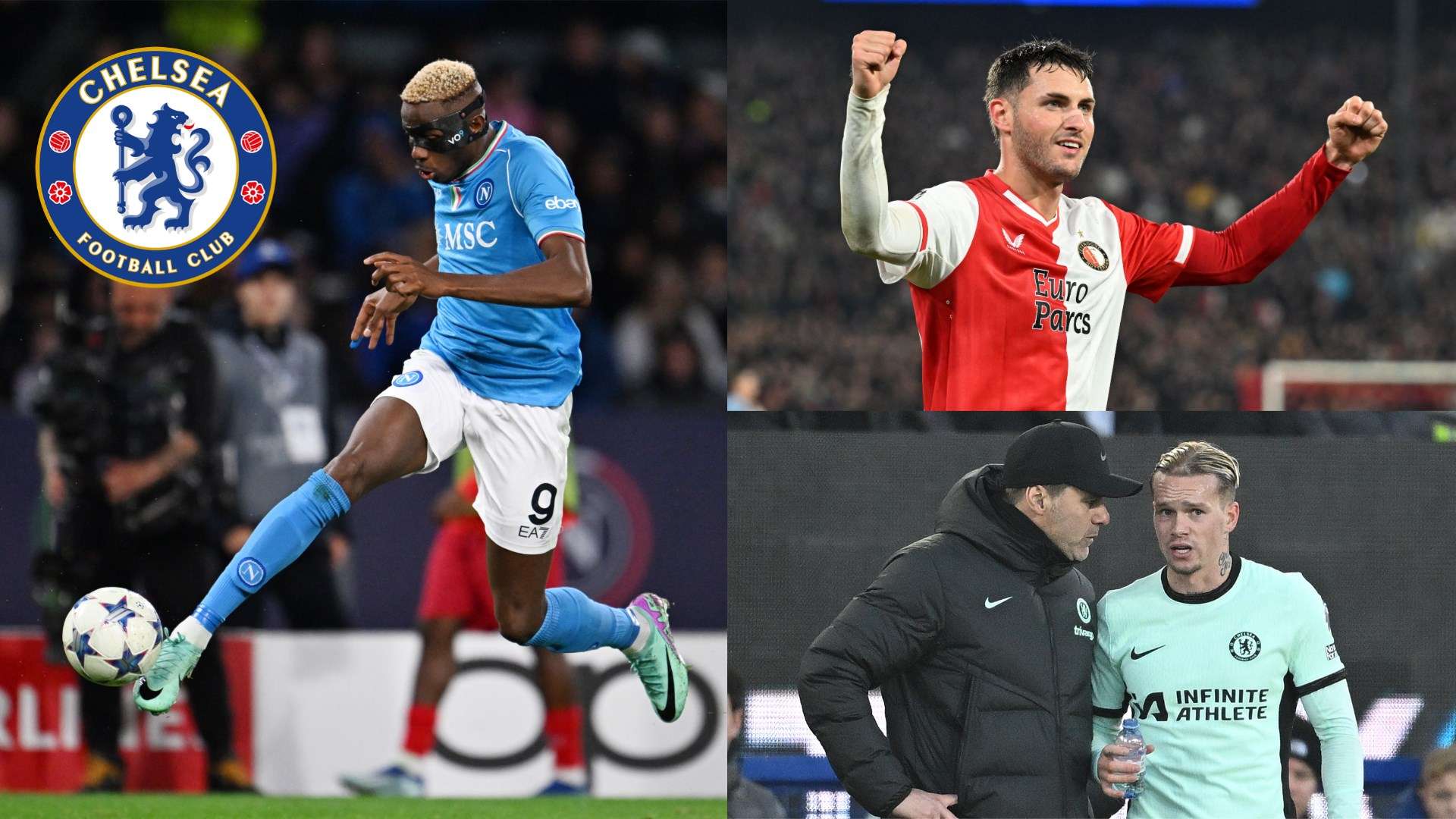 度上彰显了 度上彰显了