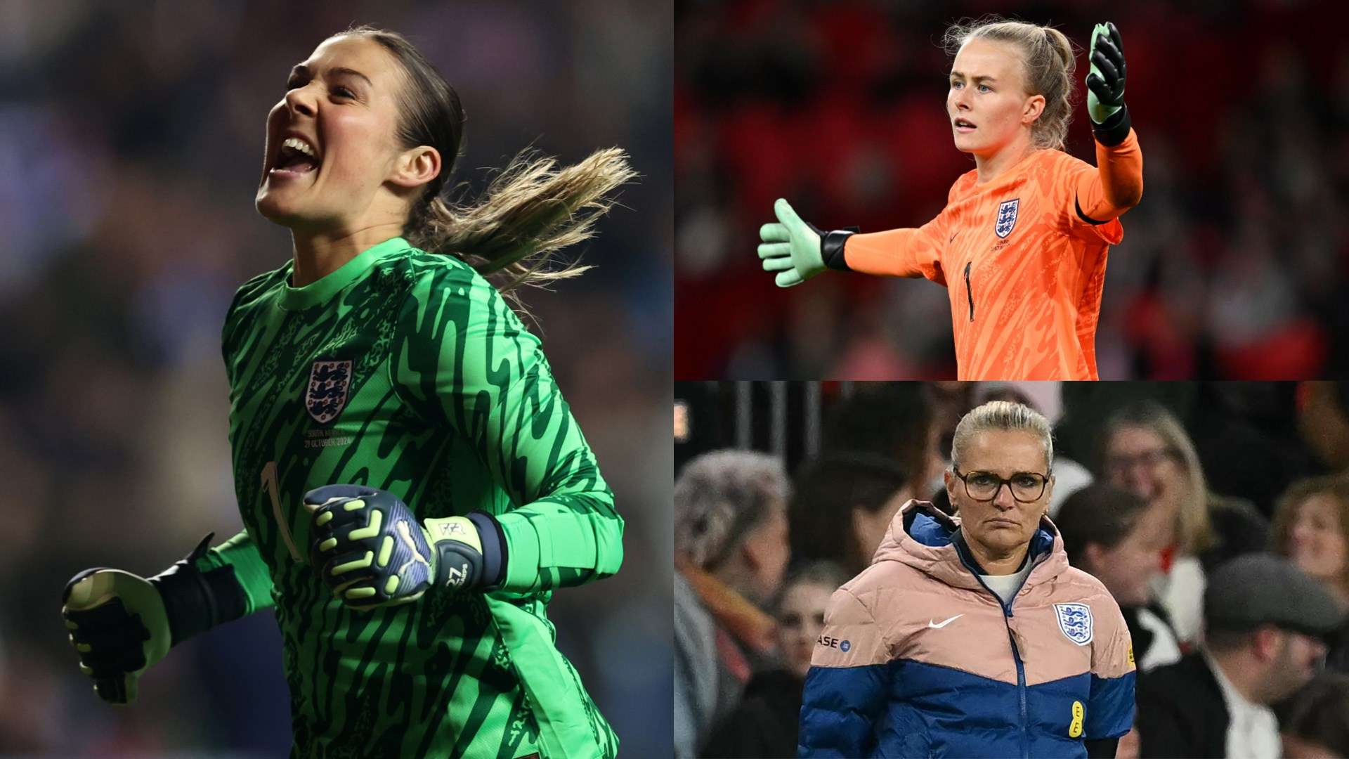 返歸將為進 返歸將為進