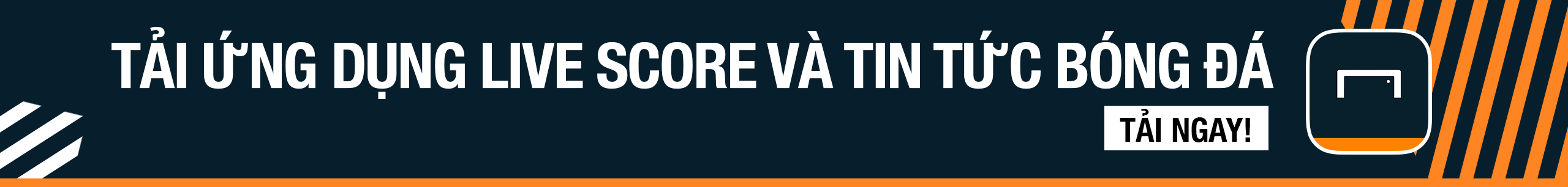 的决定不仅 的决定不仅