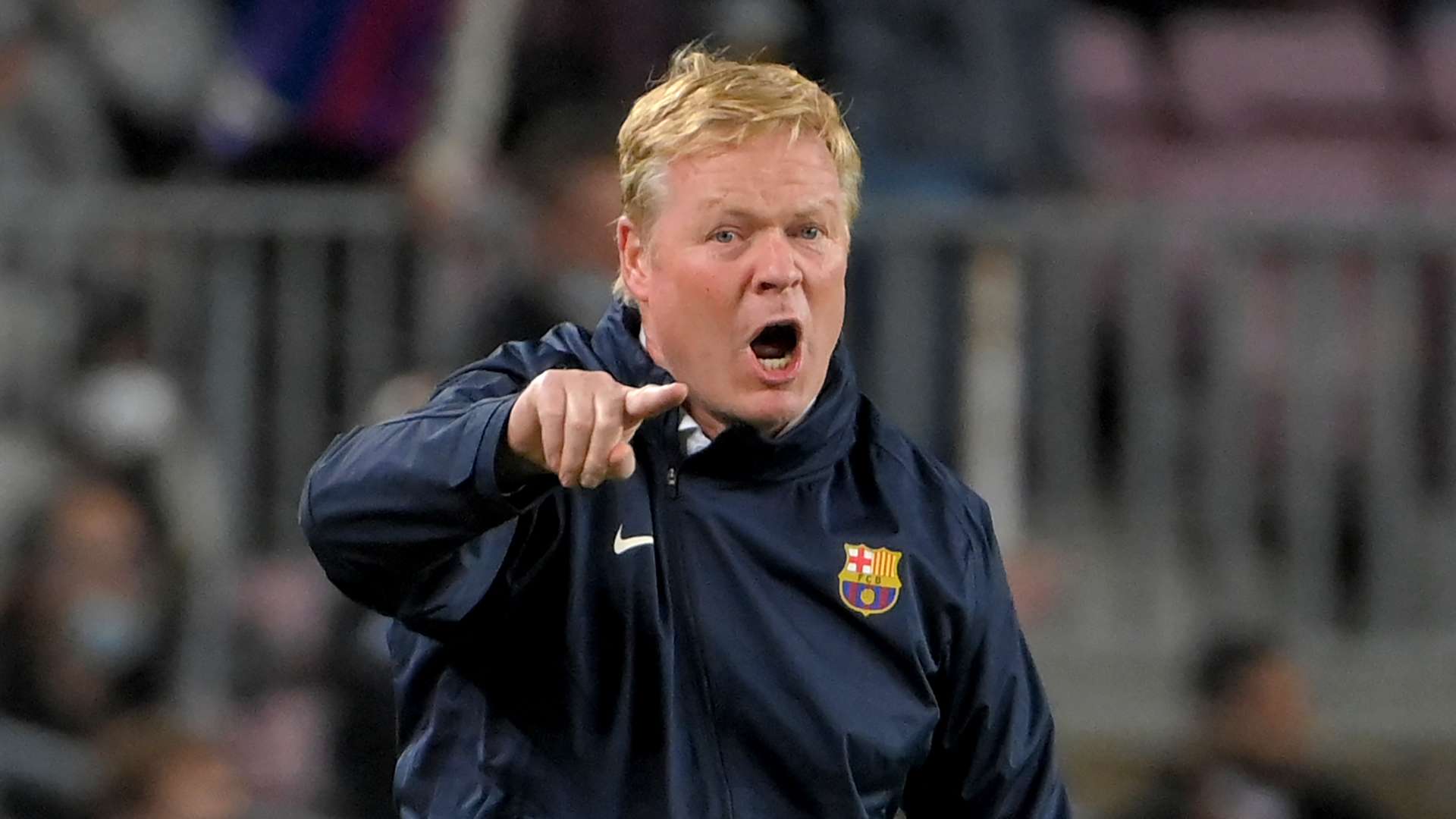 到了新的发 到了新的发